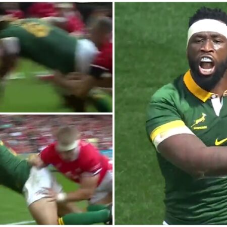 Regardez : Siya Kolisi fait son retour avec une magnifique passe décisive pour l’essai de Malcolm Marx